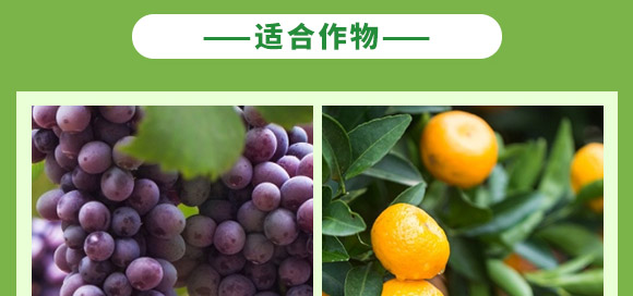 含腐植酸水溶肥料（生根膨果型）-俊果-中農(nóng)可信