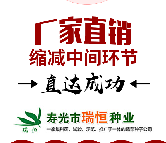 寿光市瑞恒种业有限公司_10.png