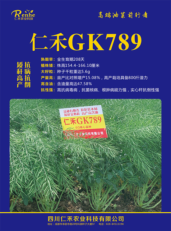 油菜U子-仁禾GK789-仁禾农业2.jpg