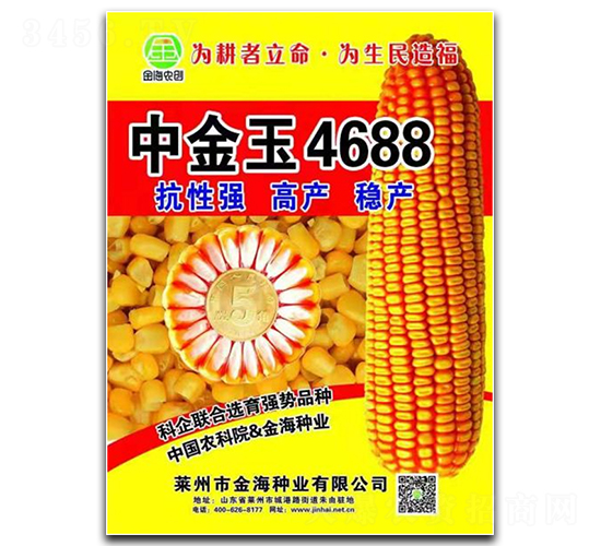 中金玉4688-玉米種子-金海農(nóng)創(chuàng)