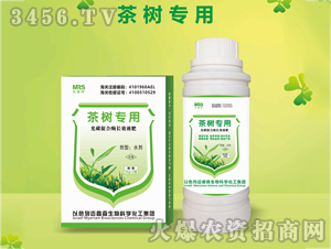 茶樹專用光碳促合酶長效液肥-邁睿森