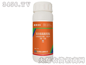 25克/升高效氯氟氰菊酯【200ml】-德美功夫-德美化工