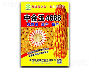 中金玉4688-玉米種子-金海農(nóng)創(chuàng)