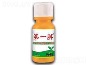 地下塊根塊莖膨大增產(chǎn)劑-第一胖-豐泰農(nóng)業(yè)