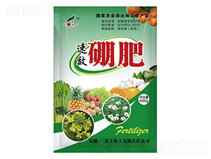 400g硼肥-禾豐